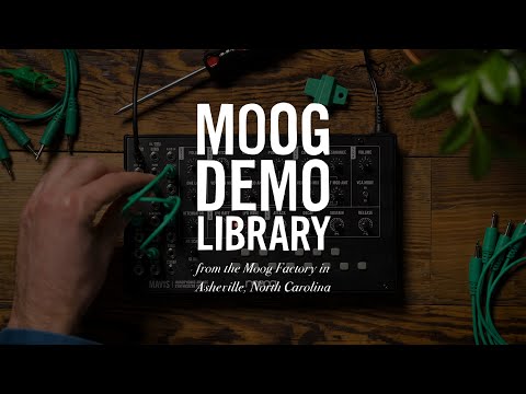 Moog Mavis по цене 38 650 ₽