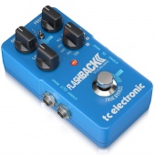 TC Electronic FLASHBACK 2 DELAY по цене 18 300 ₽