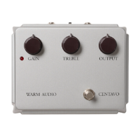 Warm Audio WA-CVS Limited Edition Silver Centavo по цене 19&nbsp;320.00 ₽