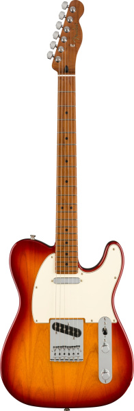 Fender Player Telecaster RSTD MN Sienna Sunburst по цене 107 800 ₽