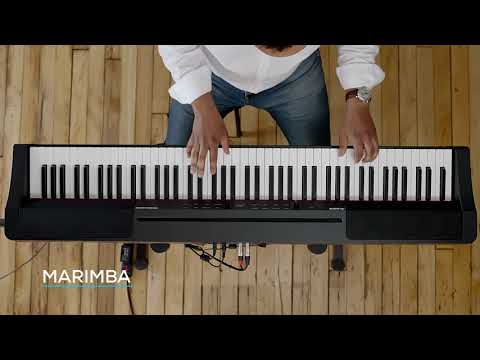 Alesis Prestige Artist по цене 86 400 ₽