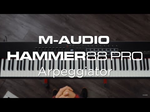 M-Audio Hammer 88 Pro || Arpeggiator Overview