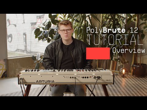 Arturia Polybrute 12 по цене 560 000 ₽