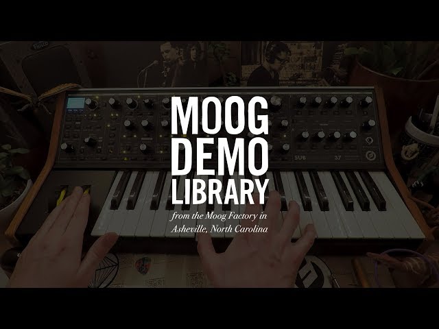 Moog Subsequent 37 по цене 226 380 ₽