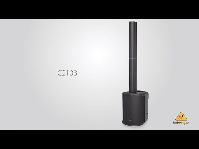 Behringer C210B по цене 46 100 ₽