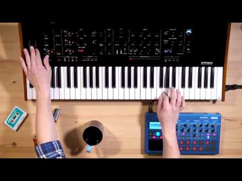 Korg Prologue 16 по цене 184 800 ₽