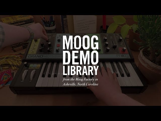 Moog Grandmother по цене 144 900 ₽