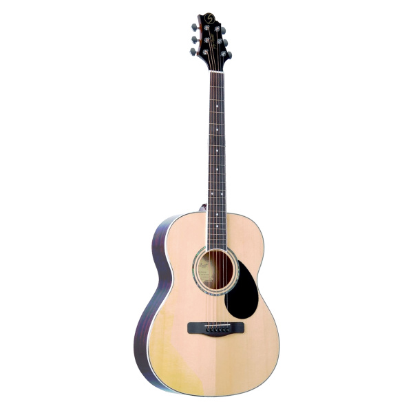 Greg Bennett GA100S/N по цене 17 450 ₽