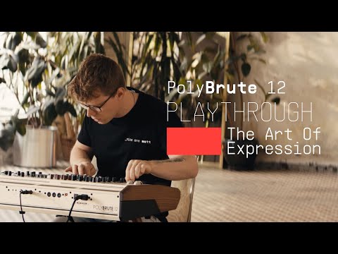 Arturia Polybrute 12 по цене 560 000 ₽
