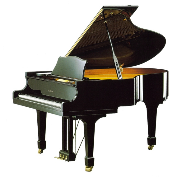 Samick NSG175D/EBHP по цене 1 742 850 ₽