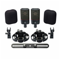 Austrian Audio OC18 Dual Set Plus по цене 220 000 ₽