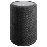 Audio Pro A10 Dark Grey по цене 19 200 ₽