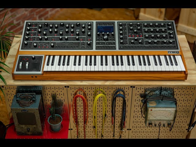 Moog Sub Phatty по цене 59 230 руб.