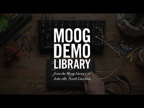 Moog Werkstatt-01 and CV Expander по цене 16 400 ₽