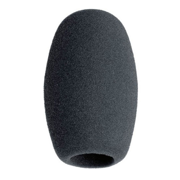 Sennheiser MZW 1 по цене 3 000 ₽
