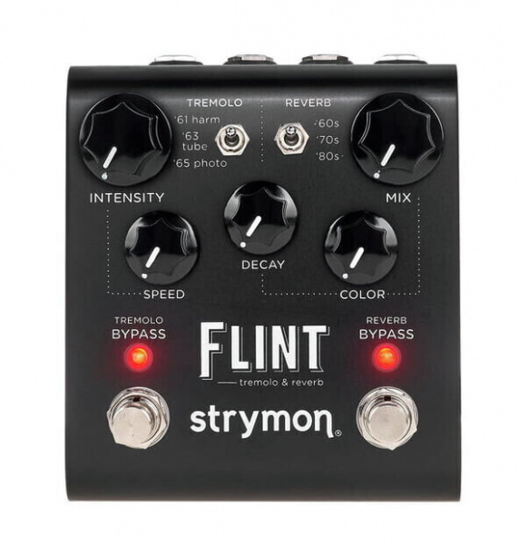 Strymon Flint Tremolo and Reverb по цене 29 600.00 ₽