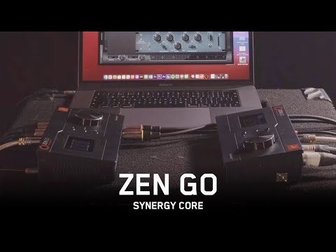 IGS Audio ZEN по цене 355 200 ₽