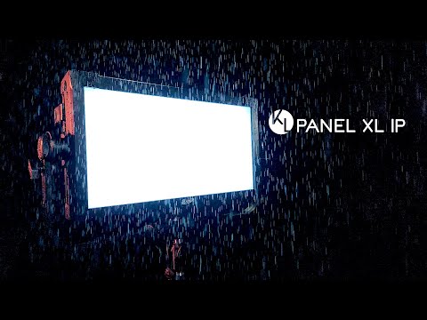 D'Addario NB1253 - Set Nickel Bronze Acoustic, Light, 12-53 по цене 1 670.00 ₽