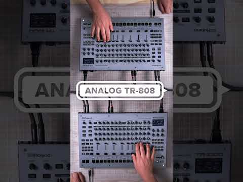 Roland TR-1000 по цене 380 750.00 ₽