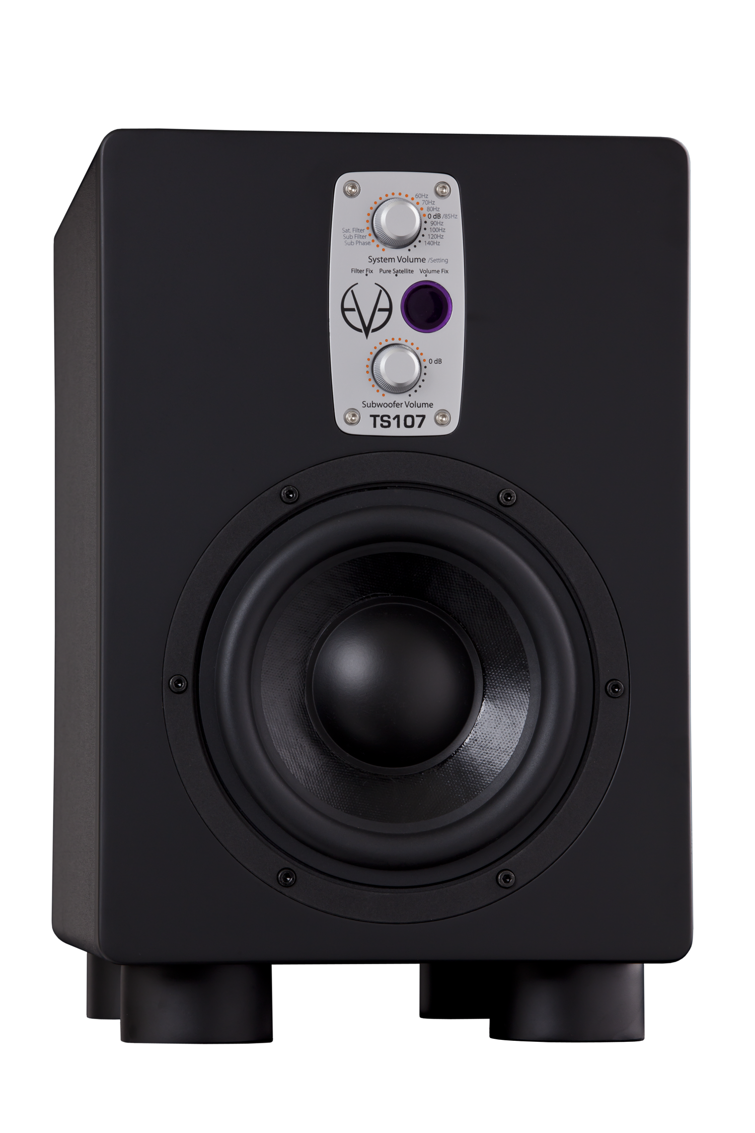 EVE AUDIO TS107 по цене 82 800 ₽