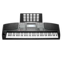 Kurzweil KP300X LB