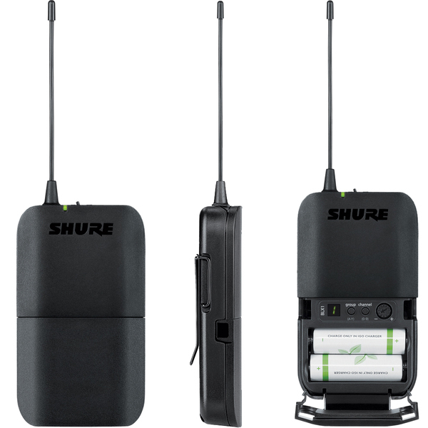 Shure BLX188E/SM35 M17 по цене 111 600 ₽