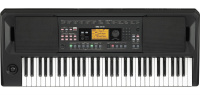 Korg EK-50 по цене 58 500 ₽