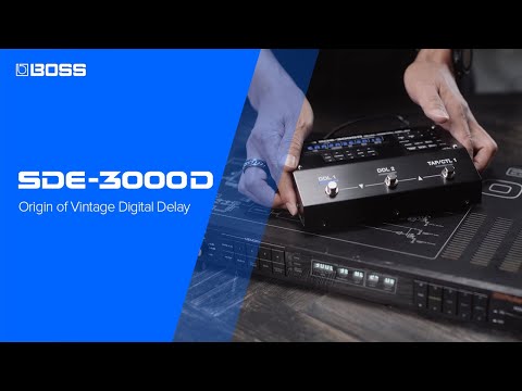 Boss SDE-3000 Dual Delay по цене 61 300 ₽