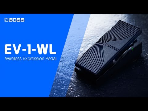Boss EV-1-WL по цене 24 000 ₽