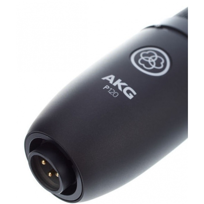 AKG P120 по цене 21 588 ₽