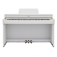 Casio Celviano AP-300WE
