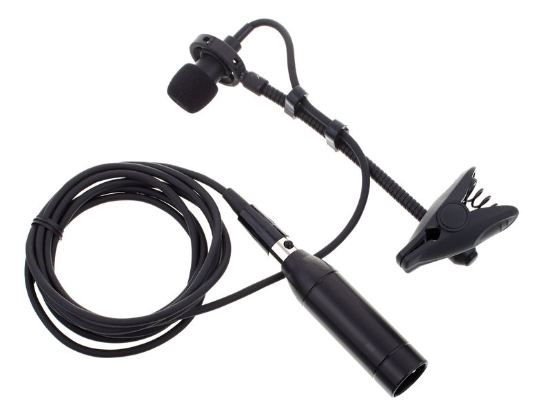 Audix ADX20iP по цене 30 600 ₽