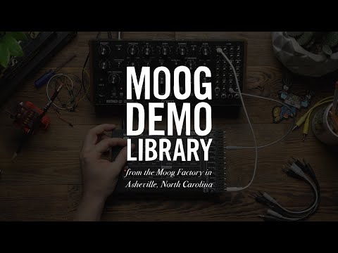 Moog Werkstatt-01 and CV Expander по цене 16 400 ₽