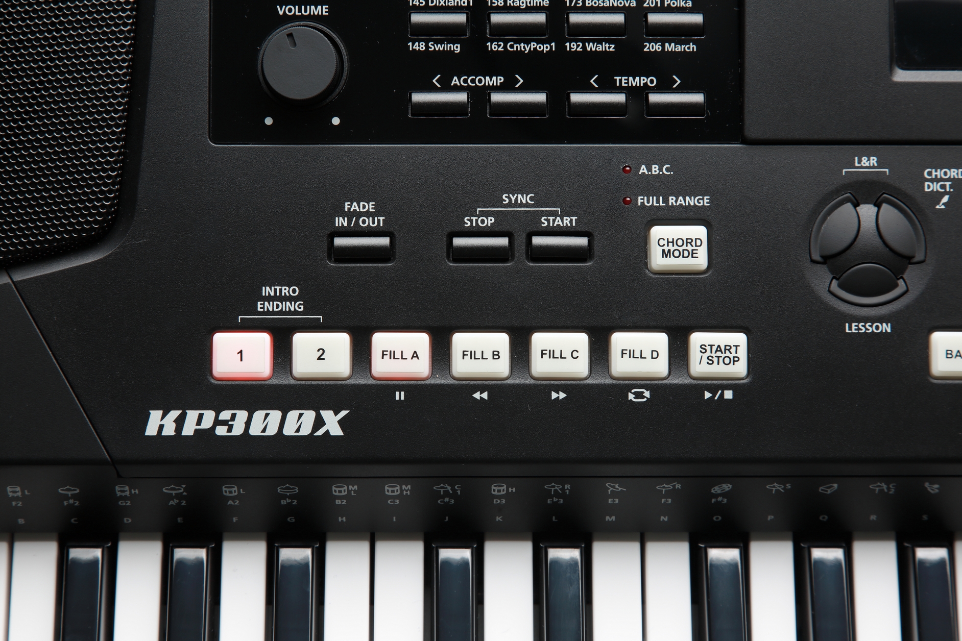 Kurzweil KP300X LB по цене 68 200 ₽