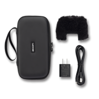 Zoom APH2e