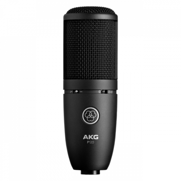 AKG P120 по цене 21 588.00 ₽