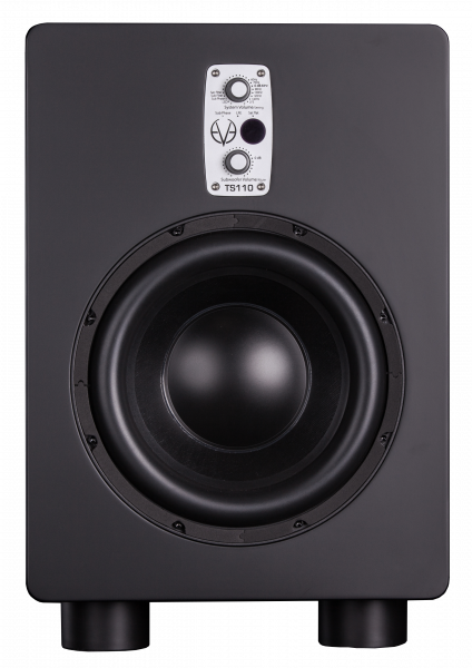 EVE AUDIO TS110 по цене 134 550 ₽