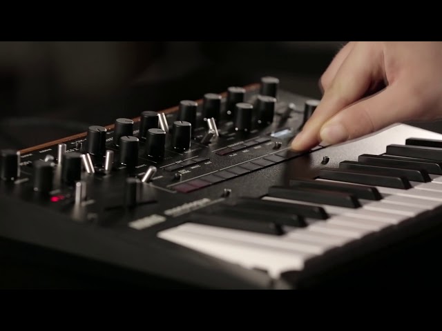 Korg Monologue-SV по цене 45 000 ₽