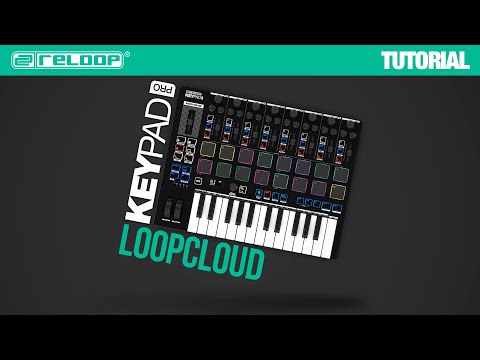 Reloop Keypad Pro по цене 37 000 ₽