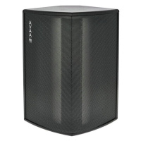PSI AUDIO AVAA C20 Graphite Black по цене 303 900 ₽