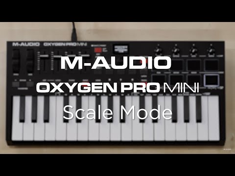 M-Audio Oxygen Pro Mini по цене 13 721 ₽