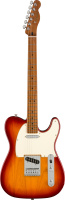 Fender Player Telecaster RSTD MN Sienna Sunburst по цене 116 000 ₽