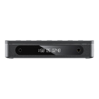 FIIO DM13 (F3491D) Black по цене 15 090.00 ₽