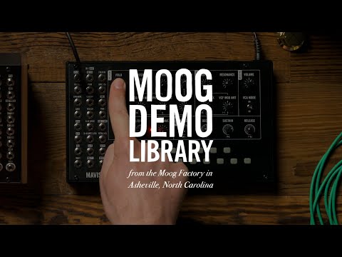 Moog Mavis по цене 38 650 ₽