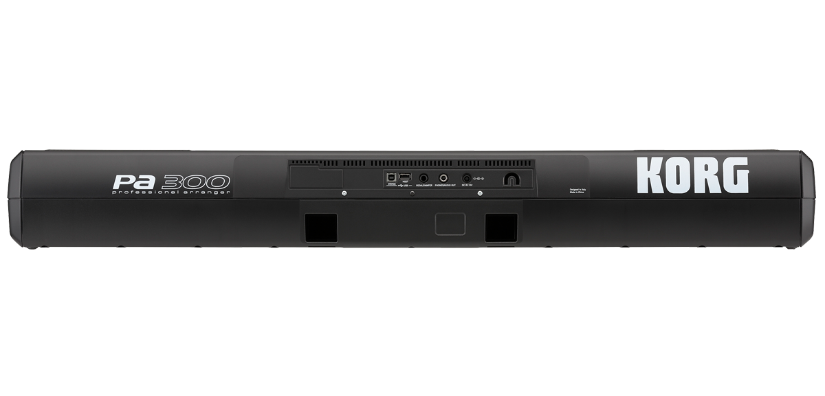 KORG Pa300 по цене 118 000 ₽