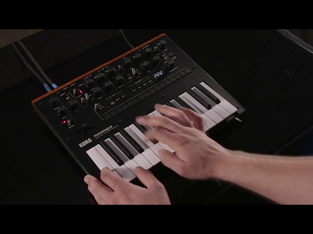 KORG Monologue-BL по цене 30 500 руб.