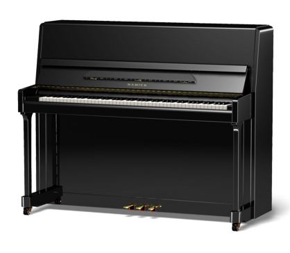 Samick JS118D/EBHP по цене 680 500 ₽