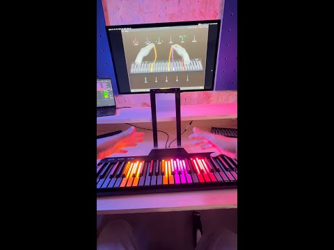 D'Addario NB1253 - Set Nickel Bronze Acoustic, Light, 12-53 по цене 1 670.00 ₽