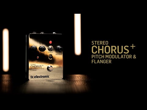 TC Electronic SCF GOLD по цене 18 300 ₽