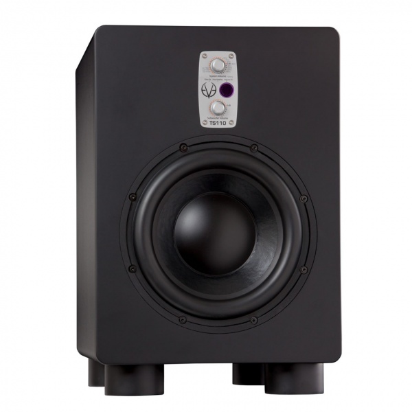 EVE AUDIO TS110 по цене 144 000 ₽